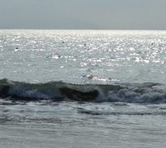 cropped-14BFDE27-0156-42E3-884A-0F22364F8CA3-1-scaled-1.jpeg