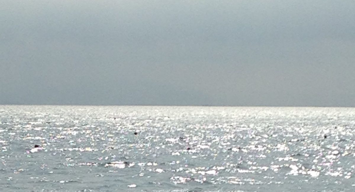cropped-14BFDE27-0156-42E3-884A-0F22364F8CA3-scaled-3.jpeg