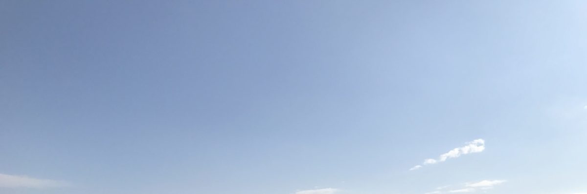 cropped-D97EBADA-9198-436F-BEB2-6666CEC797D9-scaled-2.jpeg