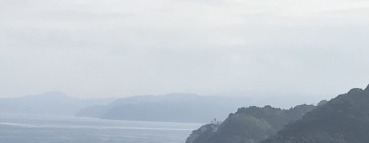 cropped-D97EBADA-9198-436F-BEB2-6666CEC797D9-scaled-6.jpeg