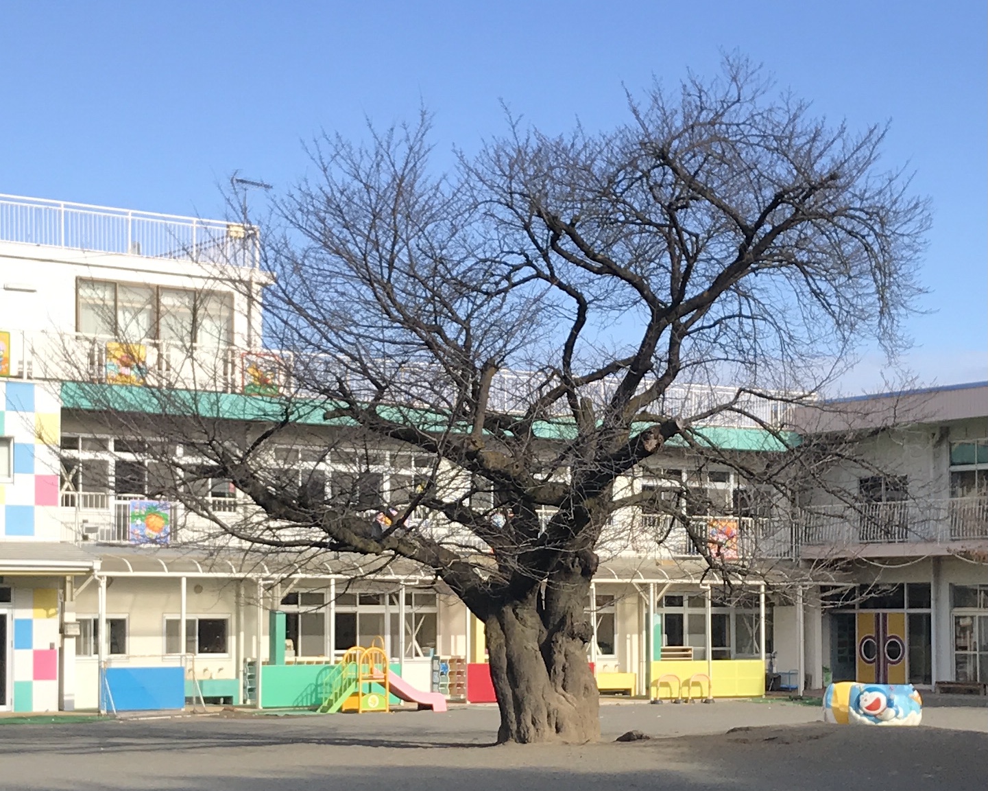 03A7B18D-9DC4-41E8-A7FB-E4B338610C85_1_201_a