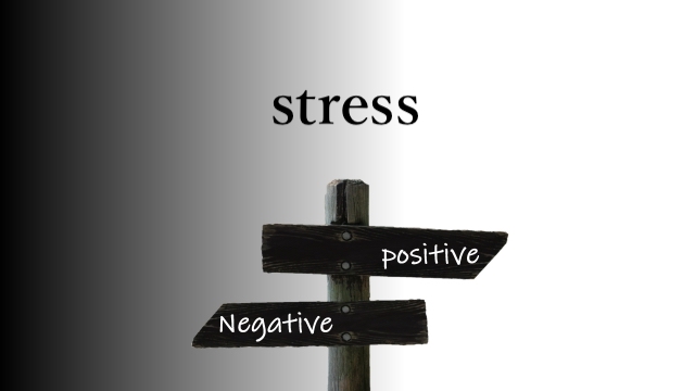 positive-negativeコピあり-1