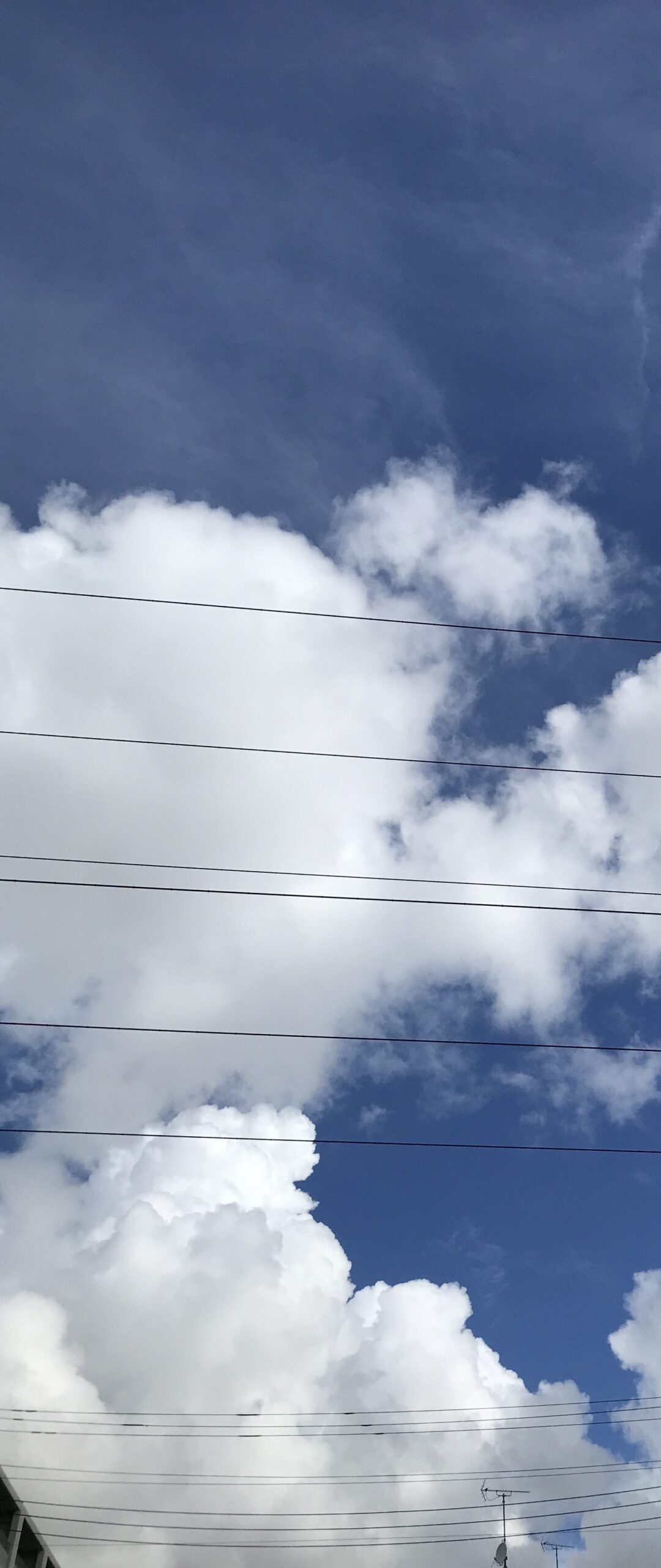 E690DBDD-FE71-49D8-B840-DAAE02CFA6F3