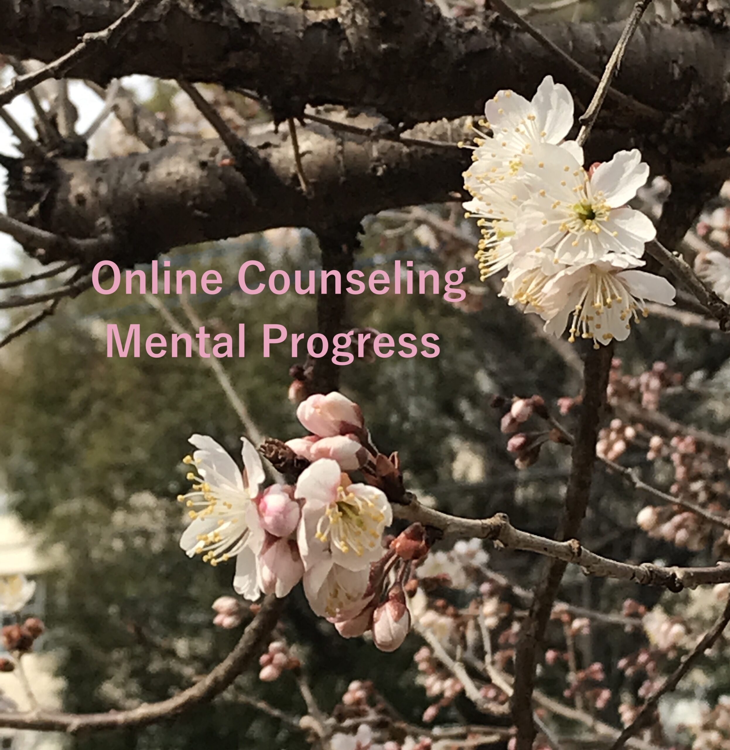 311811C6-F4E7-47B9-AABE-F84D9E614DC3_1_201_a