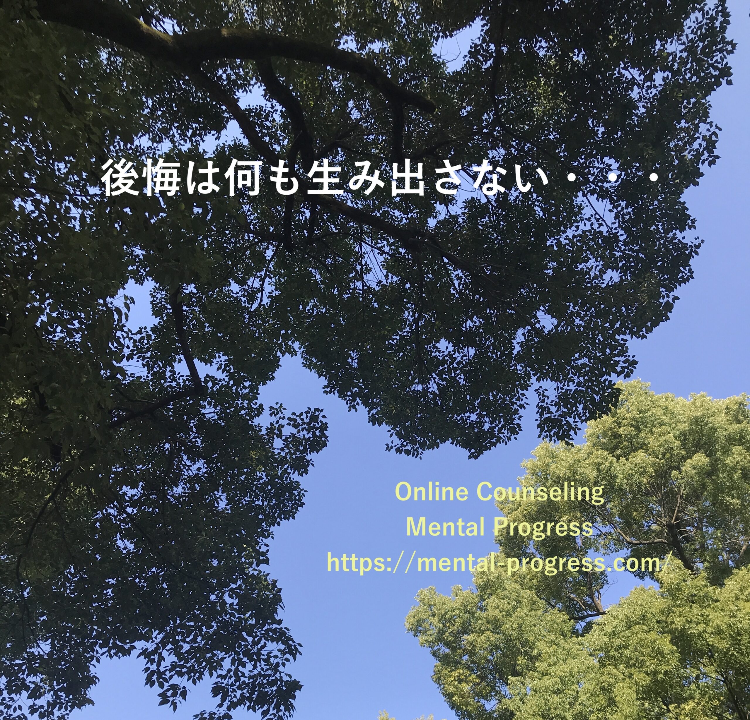 959B2281-A276-4D7F-A65A-276DCE524E4F_1_201_a