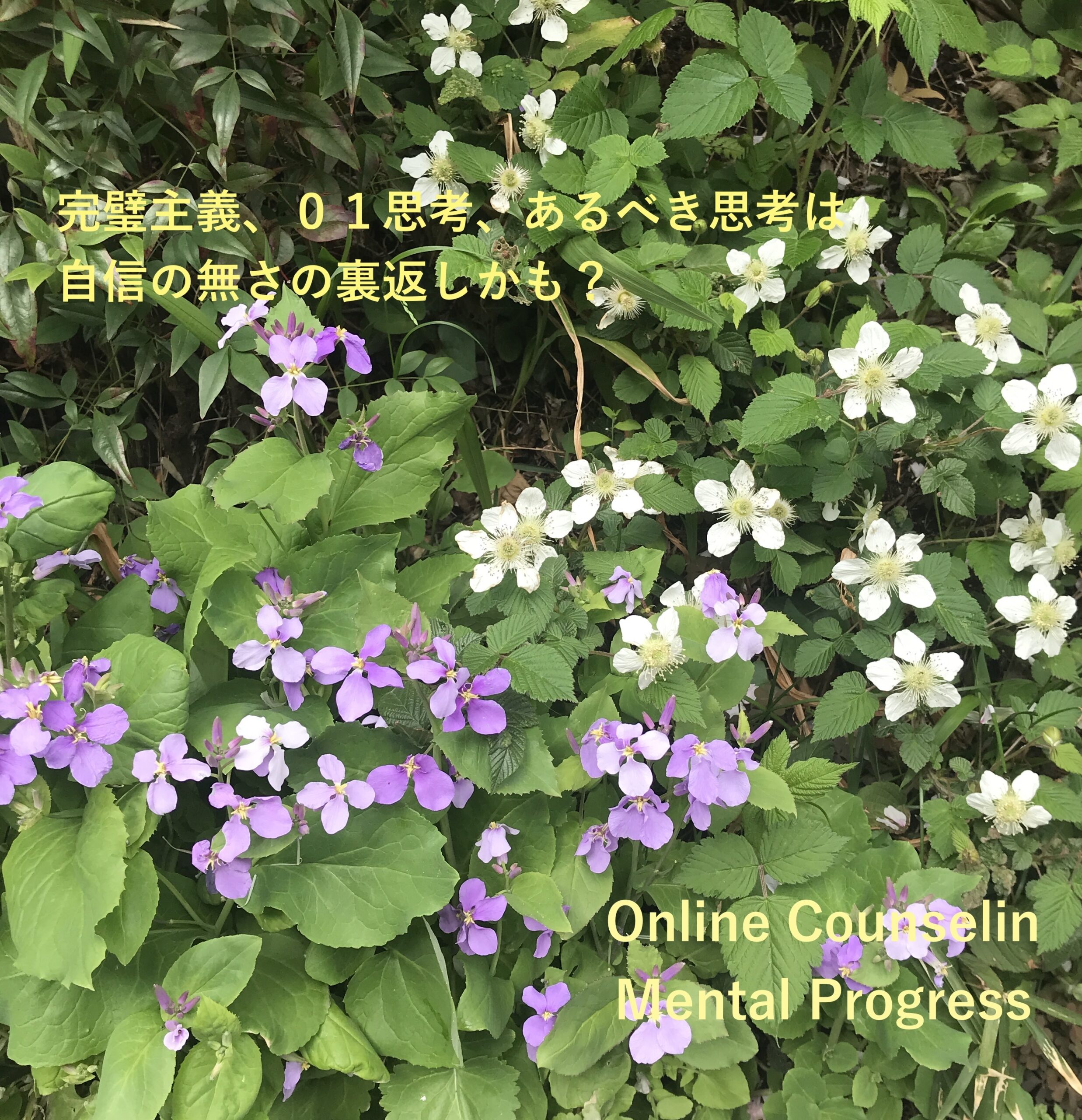 07E22741-D8D8-4ED4-91F4-FF6325AB0942_1_201_a