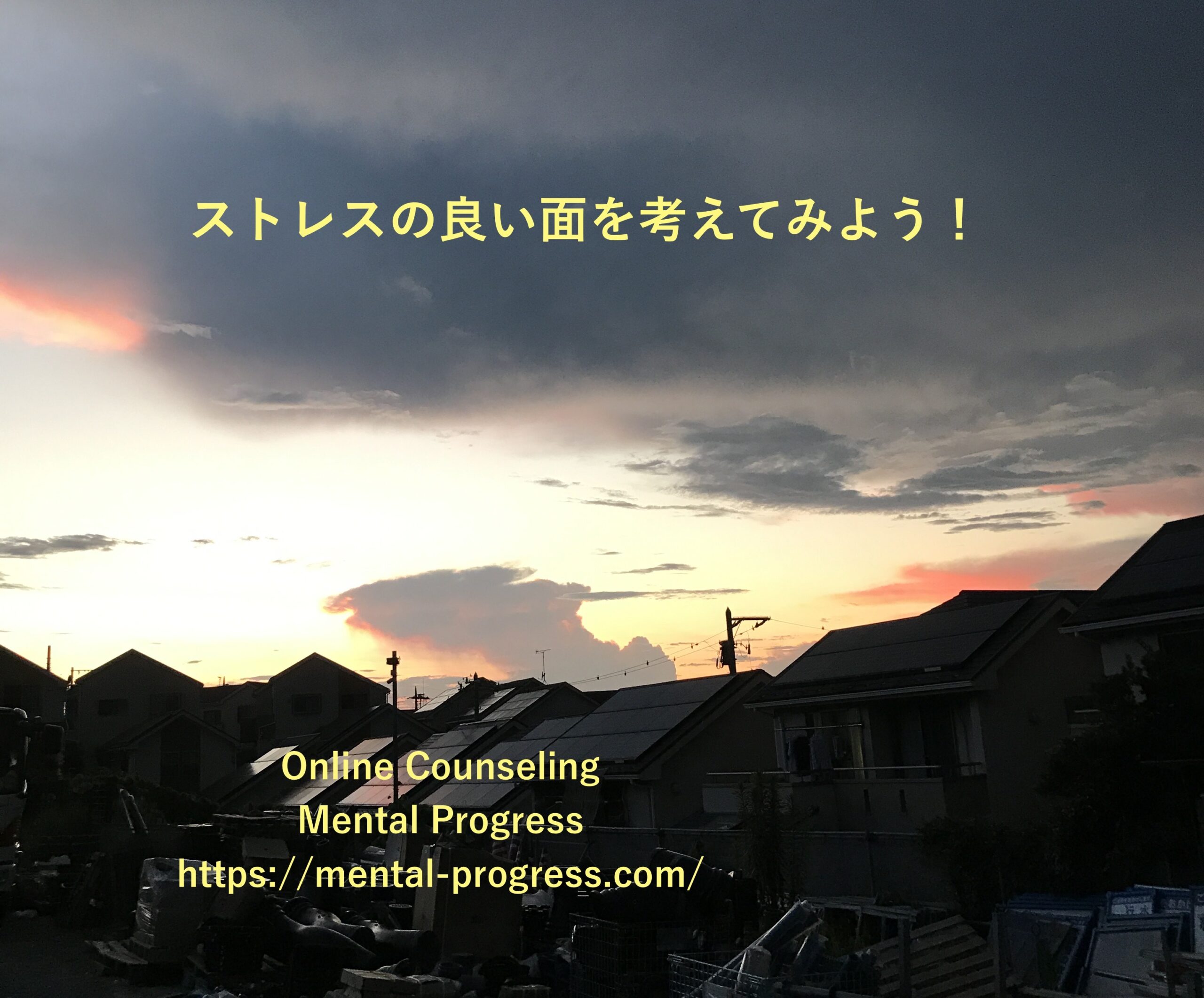 442A3616-2E5D-4A73-8323-B5E8E7B2E5A3_1_201_a