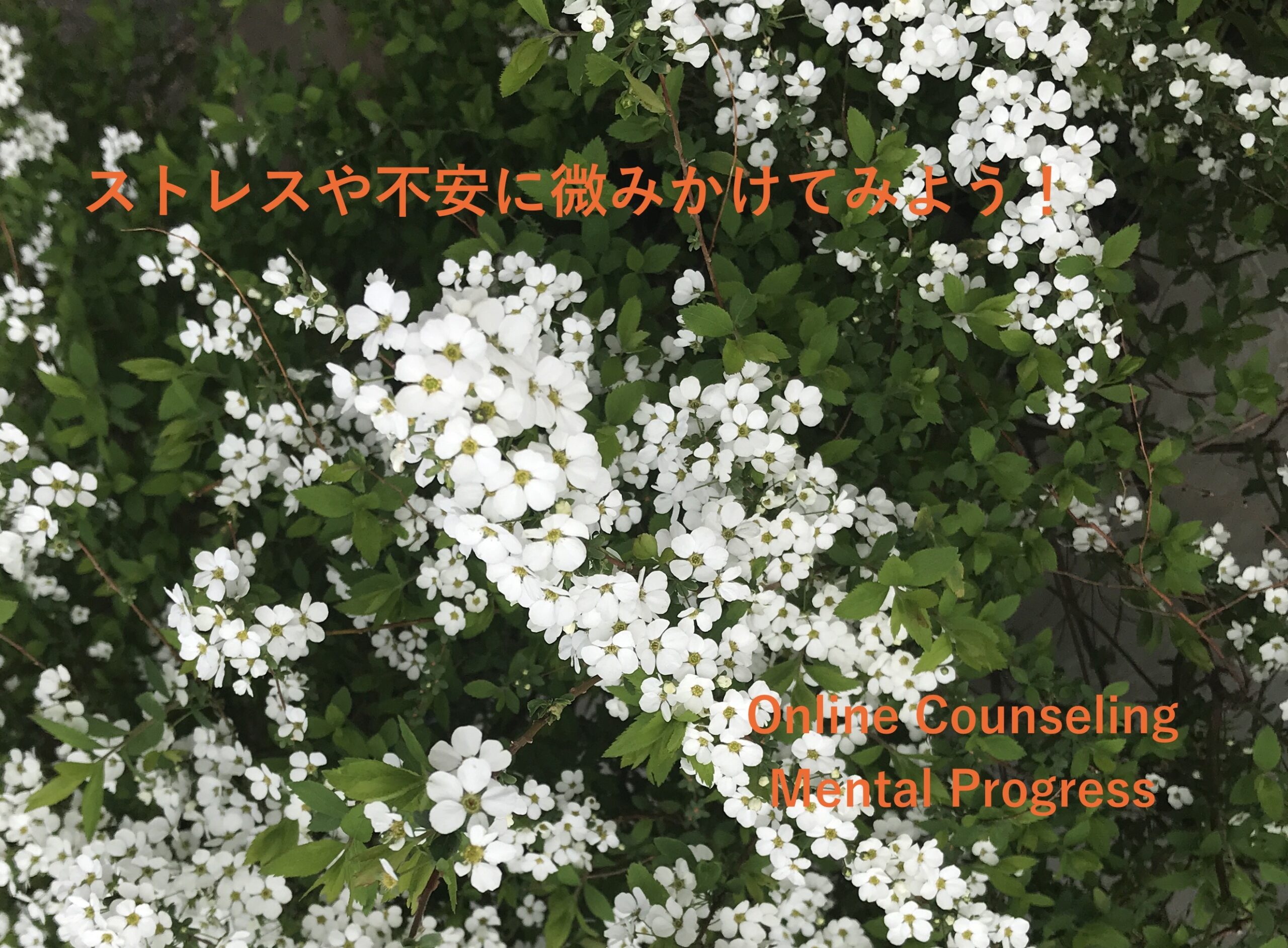 9C58E109-3A29-445E-B096-37F22F3A478A_1_201_a