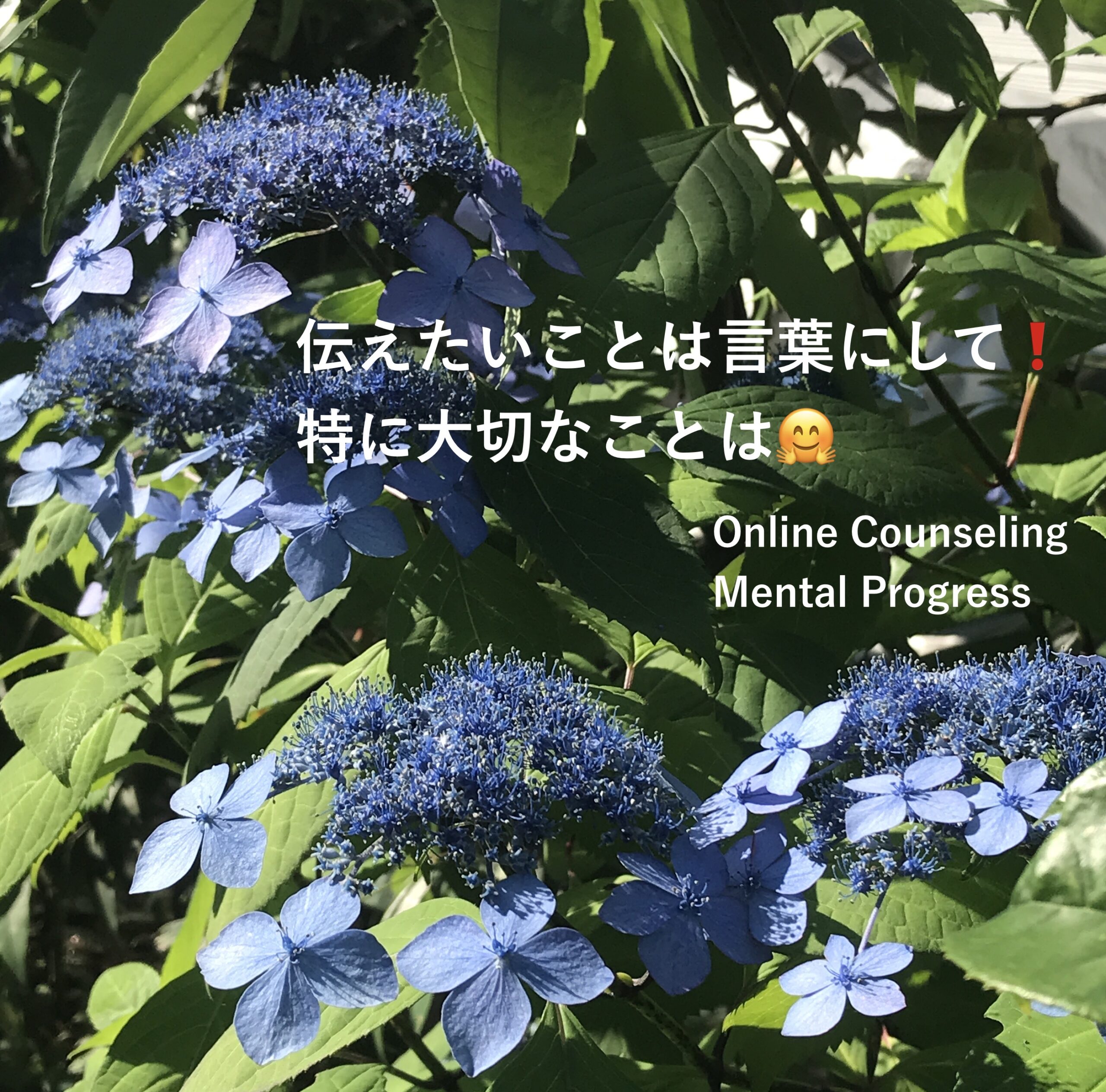 A229E5BA-7DD8-4C78-BE8D-49DB44B7CE77_1_201_a