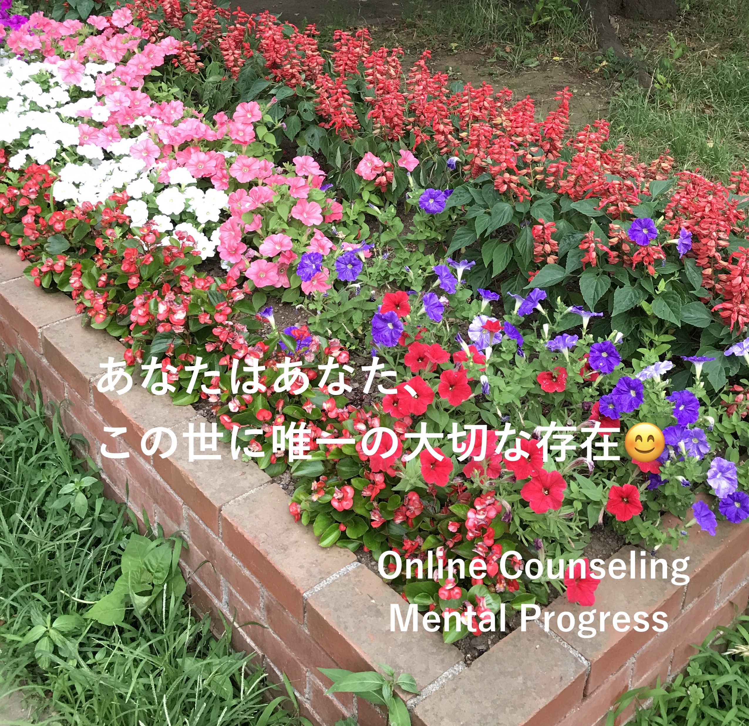F4F47203-7028-446C-941A-683C354EC424_1_201_a